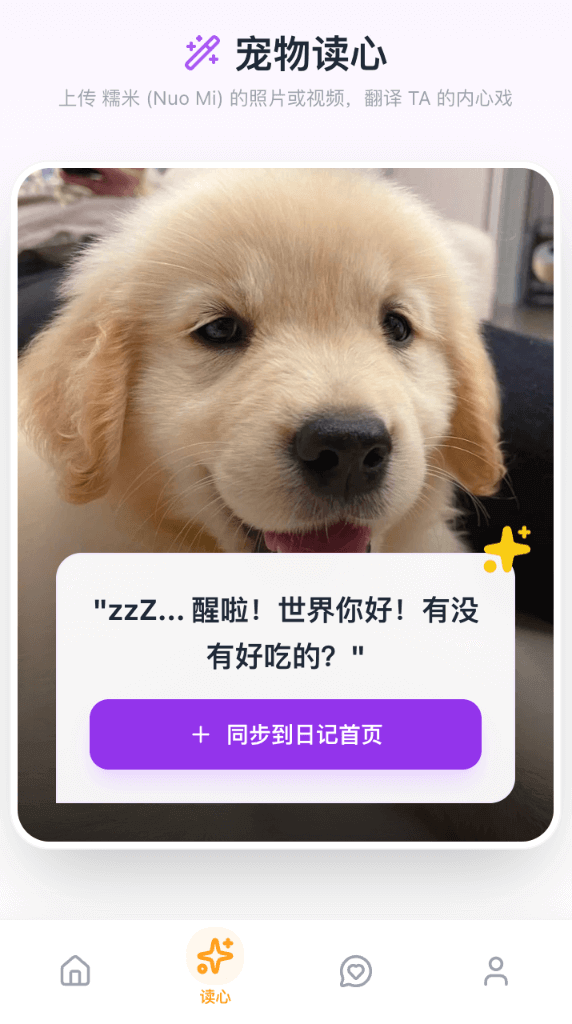 读心翻译界面